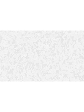 Обои виниловые горячего тиснения Erismann R 60786-01, на флизелиновой основе, 1.06×10 м, цвет белый