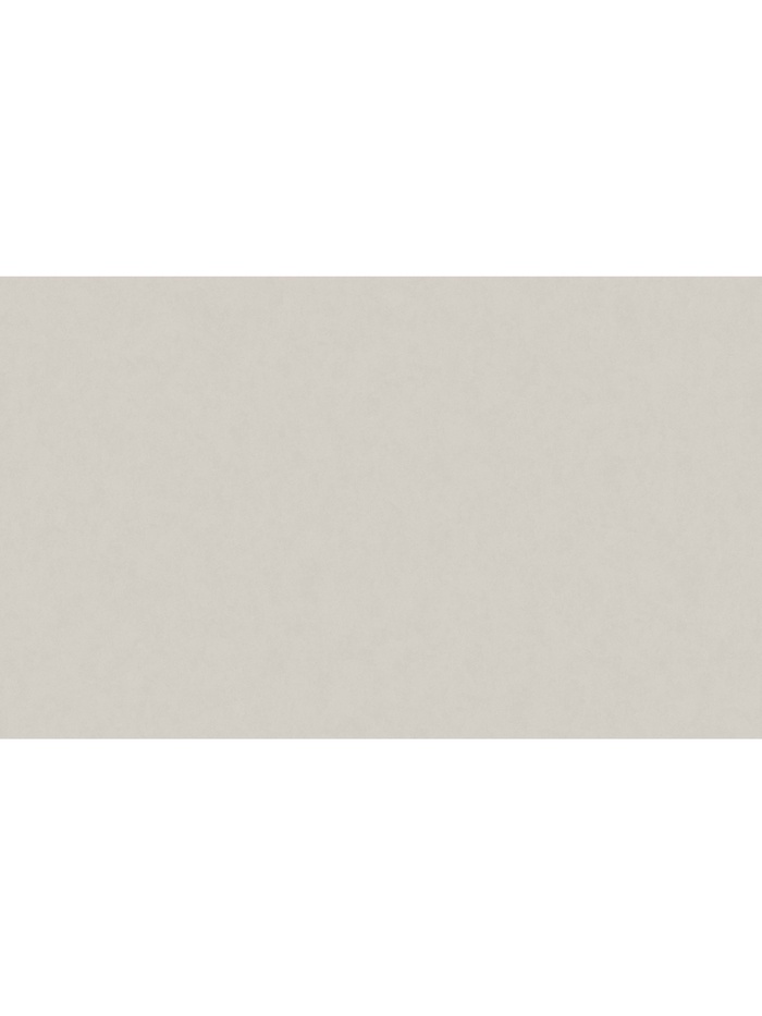 Обои виниловые горячего тиснения Erismann R 60969-03, на флизелиновой основе, 1.06×10 м, цвет бежевый