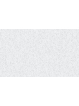 Обои виниловые горячего тиснения Erismann R 60844-0, на флизелиновой основе, 1.06×10 м, цвет серый