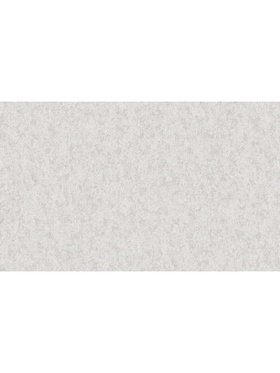 Обои виниловые горячего тиснения Erismann R 60844-03, на флизелиновой основе, 1.06×10 м, цвет бежевый