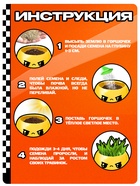 Набор для опытов «Выращиваем травку» 10867468