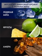 Шампунь-пилинг мужской "Клиар" для жирных у корней волос, 1000 мл - Фото 6