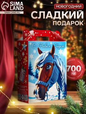Сладкий новогодний подарок «Мирон», 700 г