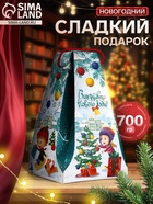 Сладкий новогодний подарок «На прогулку», 700 г - фото 117897941