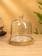 Клош стеклянный, 18×18×20.5 см, дерево - Фото 1