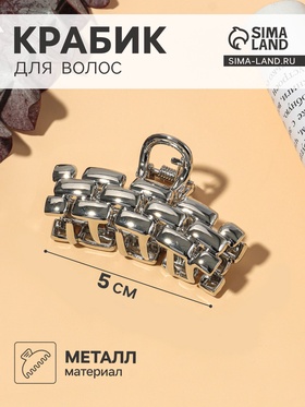 Крабик для волос «Раон», 5 см, серебро