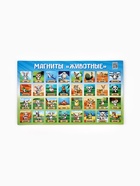 Магниты детские «Животные», полимер, 40×24.3 см - фото 809252600 Магниты детские «Животные», полимер, 40×24.3 см - фото 809252600