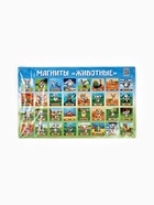 Магниты детские «Животные», полимер, 40×24.3 см - фото 59845820