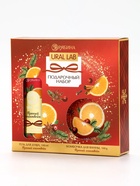 Новогодний подарочный набор косметики: гель для душа 100 мл и бомбочка для ванны 100 г, аромат пряный глинтвейн, URAL LAB - фото 809252718