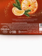 Новогодний подарочный набор косметики: гель для душа 100 мл и бомбочка для ванны 100 г, аромат мандарин, URAL LAB - фото 809252752