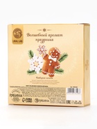 Новогодний подарочный набор косметики: гель для душа 100 мл и бомбочка для ванны 100 г, аромат имбирное печенье, URAL LAB - фото 809252767