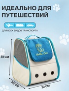 Рюкзак для переноски кошек и собак, прозрачный, 32×28×38 см, бело-синий - фото 809253145 Рюкзак для переноски кошек и собак, прозрачный, 32×28×38 см, бело-синий - фото 809253145