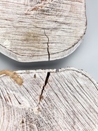 УЦЕНКА Панно «Кактус» дерево Албезия 17×18×5 см - Фото 8