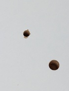 УЦЕНКА Стол письменный «Зара», со стеллажом, 750×1310×610 мм, белая - Фото 9