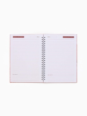 Ежедневник недатированный, А5, 80 л., твёрдая обложка, на гребне «Наслаждайся этим моментом»