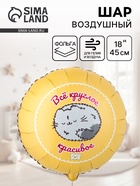 Воздушный шар фольгированный 18" «Все круглое красивое, ПушМяу» 10930944 - фото 319935451