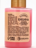 Гели для душа «Зимнее чудо», набор 3 шт х100 мл, URAL LAB 10872531