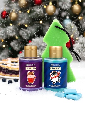 Новогодний подарочный набор косметики Gift for you: гель для душа 2 шт. × 100 мл, мочалка для тела, URAL LAB