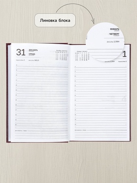 Ежедневник датированный Calligrata, А5, 2026, твёрдая обложка из бумвинила, 168 листов, коричневый