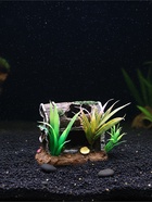 Декор для аквариума «Сокровище», 12×7×10 см - фото 809256420