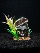 Декор для аквариума «Сокровище», 12×7×10 см - фото 809256421