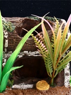 Декор для аквариума «Сокровище», 12×7×10 см - фото 809256424