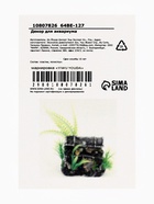 Декор для аквариума «Сокровище», 12×7×10 см - фото 809256426