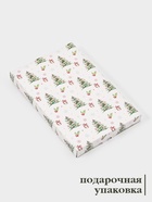 Блюдо новогоднее сервировочное Доляна «Еловые ветки», 25×15 см, стекло, белое, зелёное - Фото 3