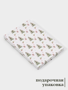 Блюдо новогоднее сервировочное Доляна «Еловые ветки», 29.5×19.5 см, стекло, белое, зелёное