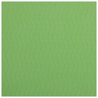 УЦЕНКА Коврик для фитнеса и йоги Sangh Tropics, нескользящий, 183×61×0.6 см, зелёный - Фото 17