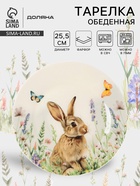 УЦЕНКА Тарелка обеденная Доляна "Зайка" цвет белый 25,5х2,5 см - фото 14941187