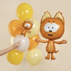 Воздушные шары фольгированные 17" «Котенок Котэ», 5 шт., под воздух 10936884 - фото 319933865