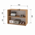 Тумба под ТВ «Стоун С81», 1100×460×820 мм, цвет дуб золотой/графит 10895925 - фото 3918956