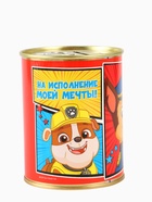 УЦЕНКА Копилка «На исполнение моей мечты!», PAW PATROL - Фото 4