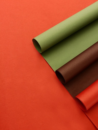 Бумага упаковочная крафт, двухсторонняя, «Таёжный лес», для упаковки подарков, 3 цвета, 50×68 см±5%