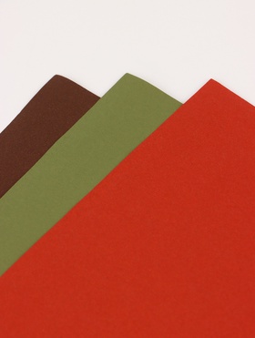 Бумага упаковочная крафт, двухсторонняя, «Таёжный лес», для упаковки подарков, 50?68 см±5% (комплект 6 шт)