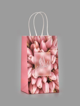 Пакет подарочный крафт «С 8 марта», 12?21?9 см (комплект 2 шт)