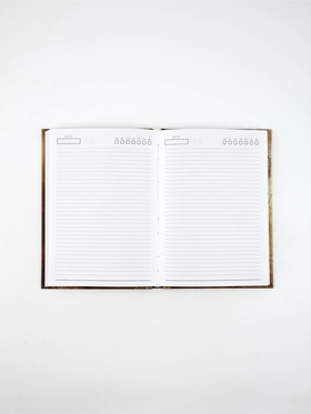 Ежедневник А5, 80 листов в твердой обложке «Планы вожака»