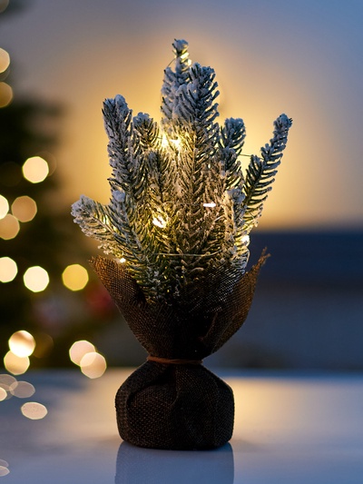 Фигура светодиодная «Сказочный свет» 28 см, 10 LED, от батареек AG13×3, свечение тёплое белое