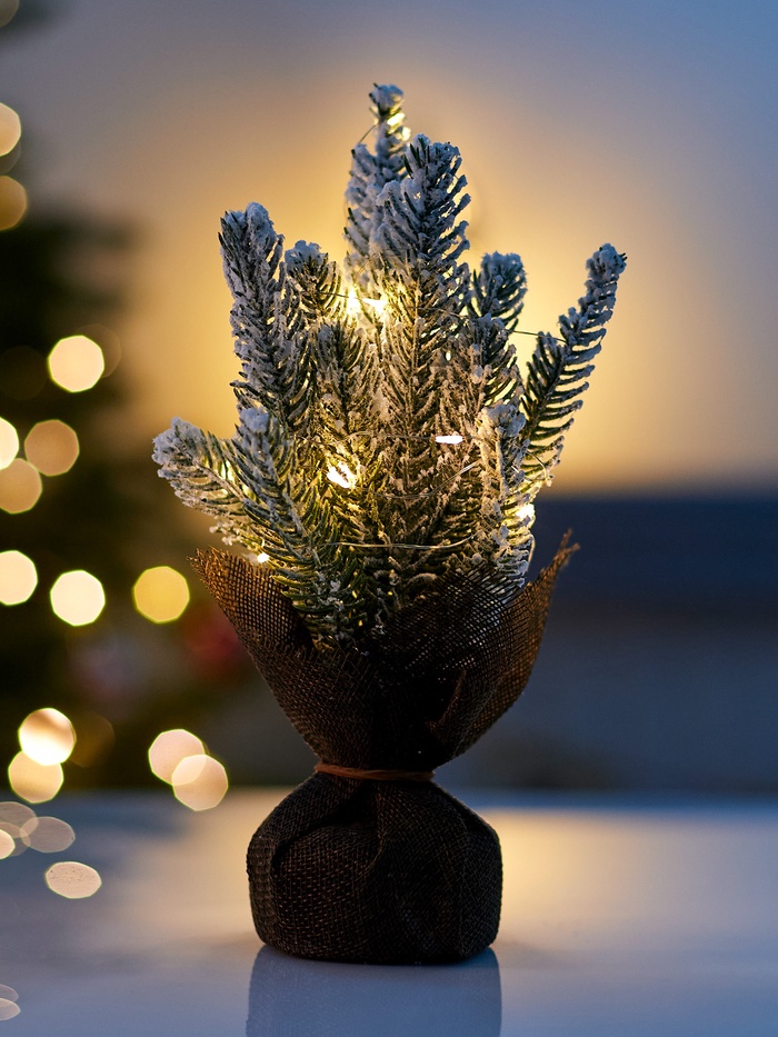 Фигура светодиодная «Сказочный свет» 28 см, 10 LED, от батареек AG13×3, свечение тёплое белое