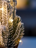 Фигура светодиодная «Сказочный свет» 28 см, 10 LED, от батареек AG13×3, свечение тёплое белое 10875997 - фото 319938585 Фигура светодиодная «Сказочный свет» 28 см, 10 LED, от батареек AG13×3, свечение тёплое белое 10875997 - фото 319938585