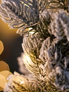 Фигура светодиодная «Новогоднее настроение» 35 см, 20 LED, от батареек AG13×3, свечение тёплое белое 10875999 - фото 319938589 Фигура светодиодная «Новогоднее настроение» 35 см, 20 LED, от батареек AG13×3, свечение тёплое белое 10875999 - фото 319938589