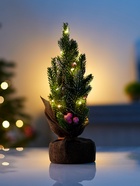 Фигура светодиодная «Праздничное сияние» 31 см, 20 LED, от батареек AG13×3, свечение тёплое белое - Фото 1