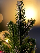 Фигура светодиодная «Праздничное сияние» 31 см, 20 LED, от батареек AG13×3, свечение тёплое белое 10876001 - фото 319938593 Фигура светодиодная «Праздничное сияние» 31 см, 20 LED, от батареек AG13×3, свечение тёплое белое 10876001 - фото 319938593