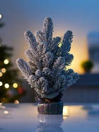 Фигура светодиодная «Снежная сказка» 40 см, 20 LED, от батареек AG13×3, свечение тёплое белое 10876002 - фото 319938596 Фигура светодиодная «Снежная сказка» 40 см, 20 LED, от батареек AG13×3, свечение тёплое белое 10876002 - фото 319938596