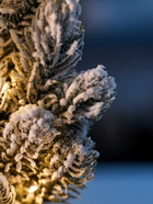 Фигура светодиодная «Снежная сказка» 40 см, 20 LED, от батареек AG13×3, свечение тёплое белое 10876002 - фото 319938597 Фигура светодиодная «Снежная сказка» 40 см, 20 LED, от батареек AG13×3, свечение тёплое белое 10876002 - фото 319938597