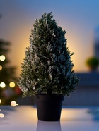 Фигура светодиодная «Можжевельник заснеженный» 35 см, 20 LED, от батареек AG13×3, свечение тёплое белое 10876007 - фото 319938604 Фигура светодиодная «Можжевельник заснеженный» 35 см, 20 LED, от батареек AG13×3, свечение тёплое белое 10876007 - фото 319938604