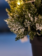 Фигура светодиодная «Можжевельник заснеженный» 35 см, 20 LED, от батареек AG13×3, свечение тёплое белое 10876007 - фото 319938605 Фигура светодиодная «Можжевельник заснеженный» 35 см, 20 LED, от батареек AG13×3, свечение тёплое белое 10876007 - фото 319938605