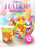 Посуда бумажная одноразовая «С Днём рождения», на 12 персон 10920691