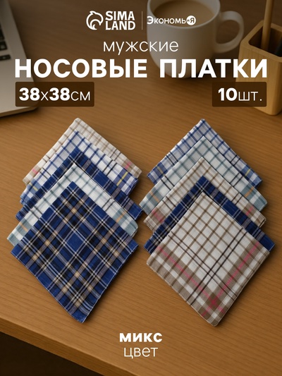 Платки носовые мужские «Экономь и Я. Квадрат» 38×38 см, набор 10 шт., рис. МИКС